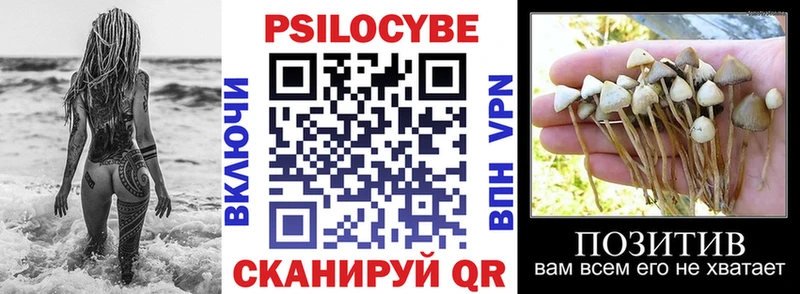 купить наркотик  Жуков  Псилоцибиновые грибы MAGIC MUSHROOMS 